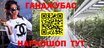 гашик Донской