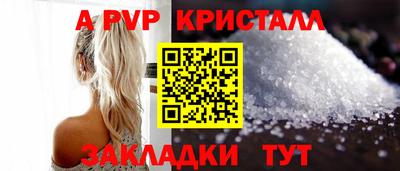 гашик Донской