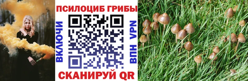 купить наркоту  Нижнеудинск  Галлюциногенные грибы ЛСД 